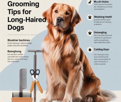 Grooming Tips for Long-Haired Dogs